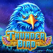 THUNDER BIRD